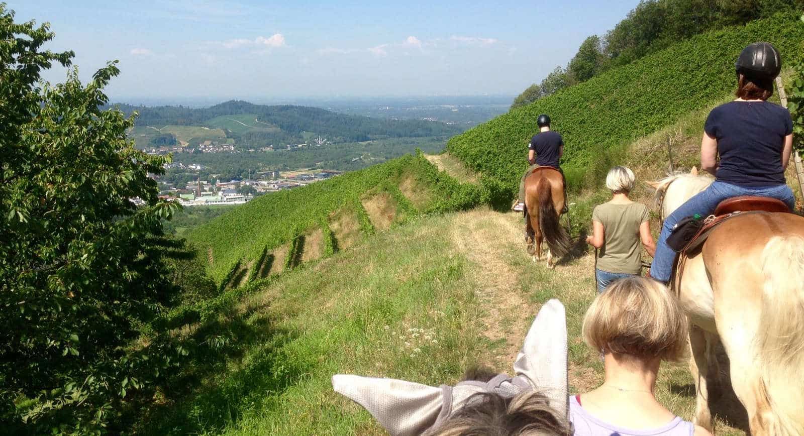 Ausritt durch die Weinberge, vom Pferderücken aus gesehen: vorne Pferdeohren, weiter vorn zwei Reiterinnen, unten im Tal ein Dorf.